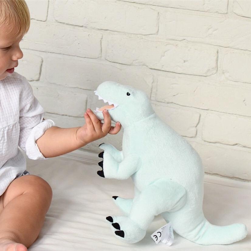Plyšový dinosaurus Tyranosaurus Rex M – měkký kamarád se jménem