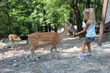 Kde srnky pobehujú, tobogány špliechajú a deti sa smejú