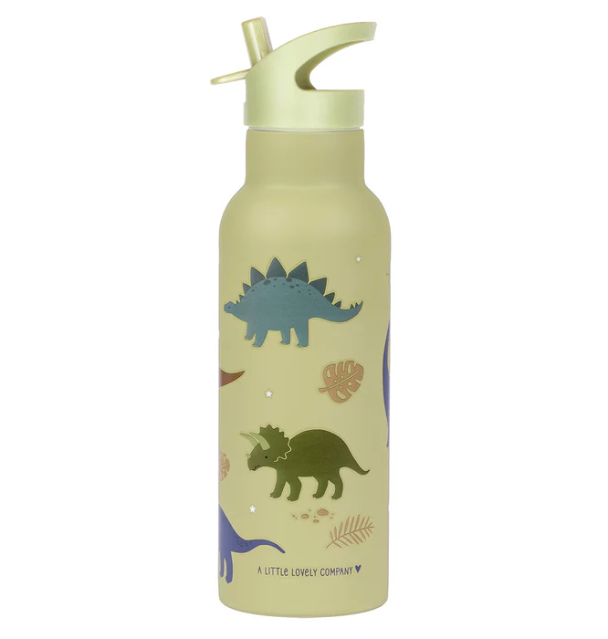 Nerezová fľaša na pitie dinosaurus XL