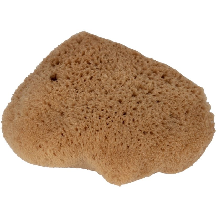 Přírodní mořská houba M