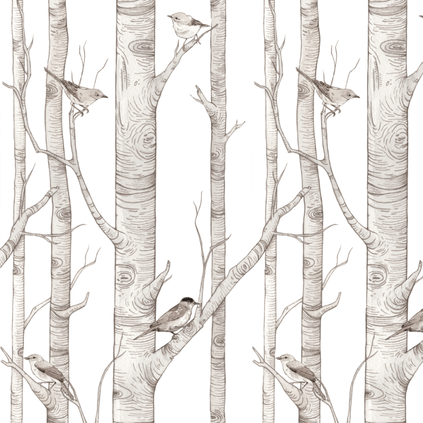 Tapeta brezový les 280x50 cm