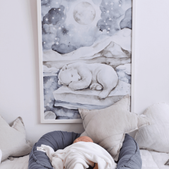 Plakát medvěd 50x70cm
