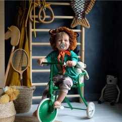 Detská trojkolka foxrider zelená Detská trojkolka foxrider zelená