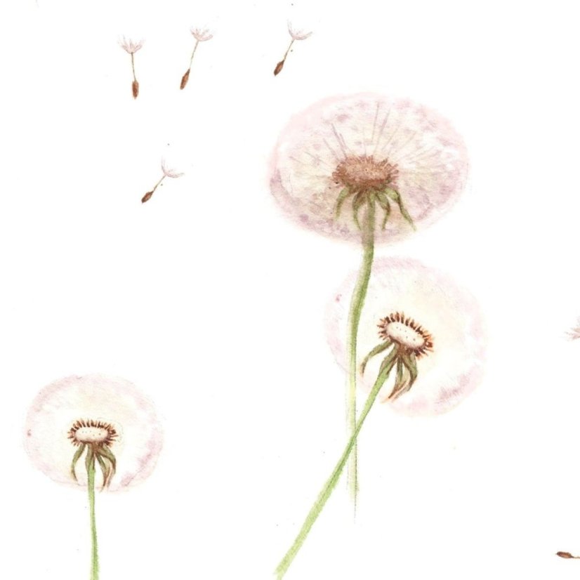 Tapeta púpavy 280x50 cm
