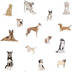 Tapeta psy biela 280x100 cm