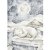 Dárková karta medvěd 5,2x7,4cm