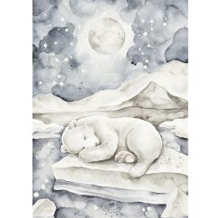 Plagát medveď 50x70cm