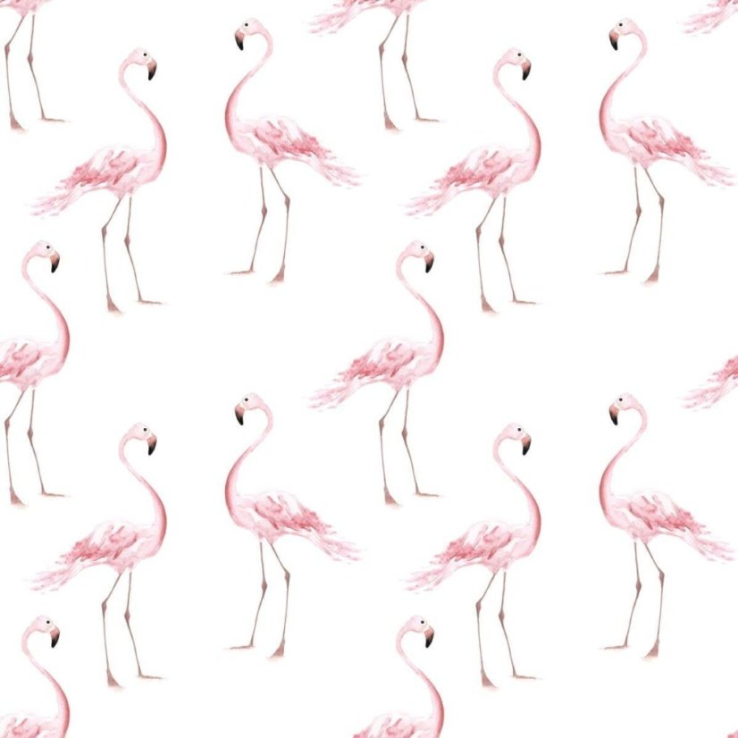 Tapeta plameniaky 280x50 cm