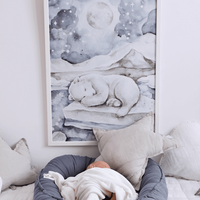 Plagát medveď 50x70cm
