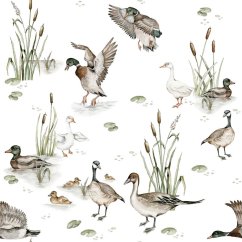 Tapeta kačacie jazero 280x100