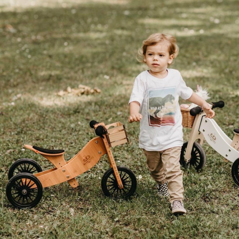 Drevené balančné odrážadlo Tiny Tot Plus 2v1 drevená