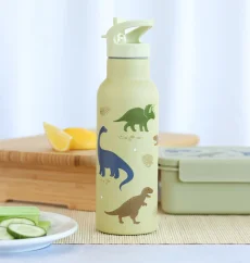 Nerezová fľaša na pitie dinosaurus XL