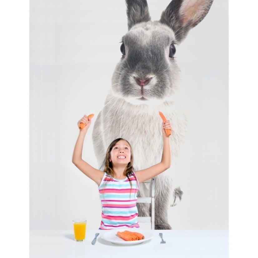 Samolepka do dětského pokoje králík Harry 50x103cm