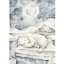 Dárková karta medvěd 5,2x7,4cm