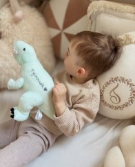 Plyšový Tyranosaurus Rex mätový M