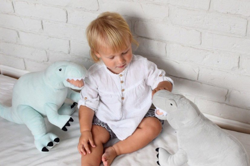 Plyšový dinosaurus Rex s menom – originálny darček pre chlapca