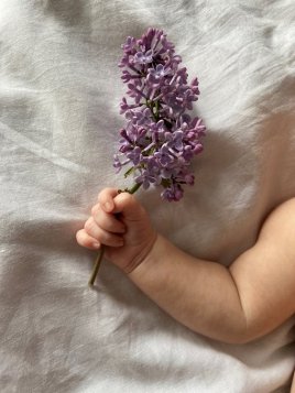 Mušelín: Látka, ktorú raz objavíte – a už sa jej nevzdáte