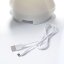 Lampa Mr Maria Miffy First Light