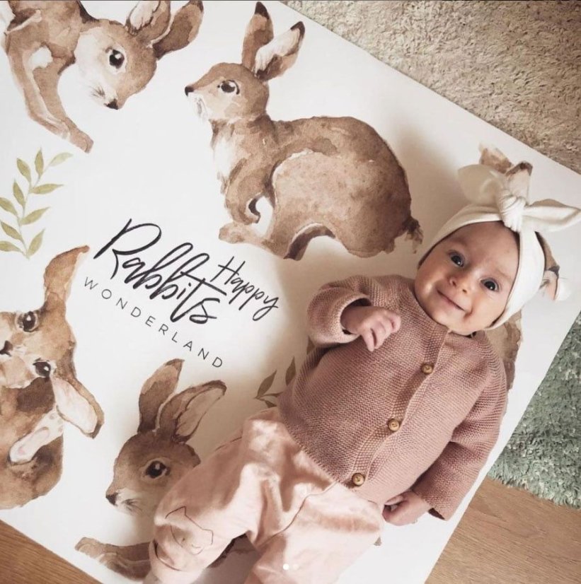 Samolepka do detskej izby sada rozprávkových králikov