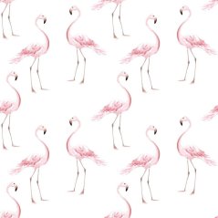 Tapeta plameniaky 280x50 cm